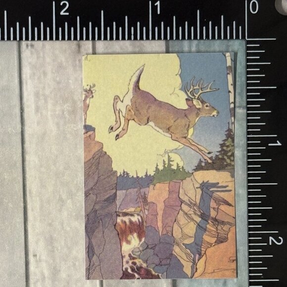 ๐10/$10๐ Classic Hoofed Beasts Reusable Washi Sticker Decal - Picture 1 of 1